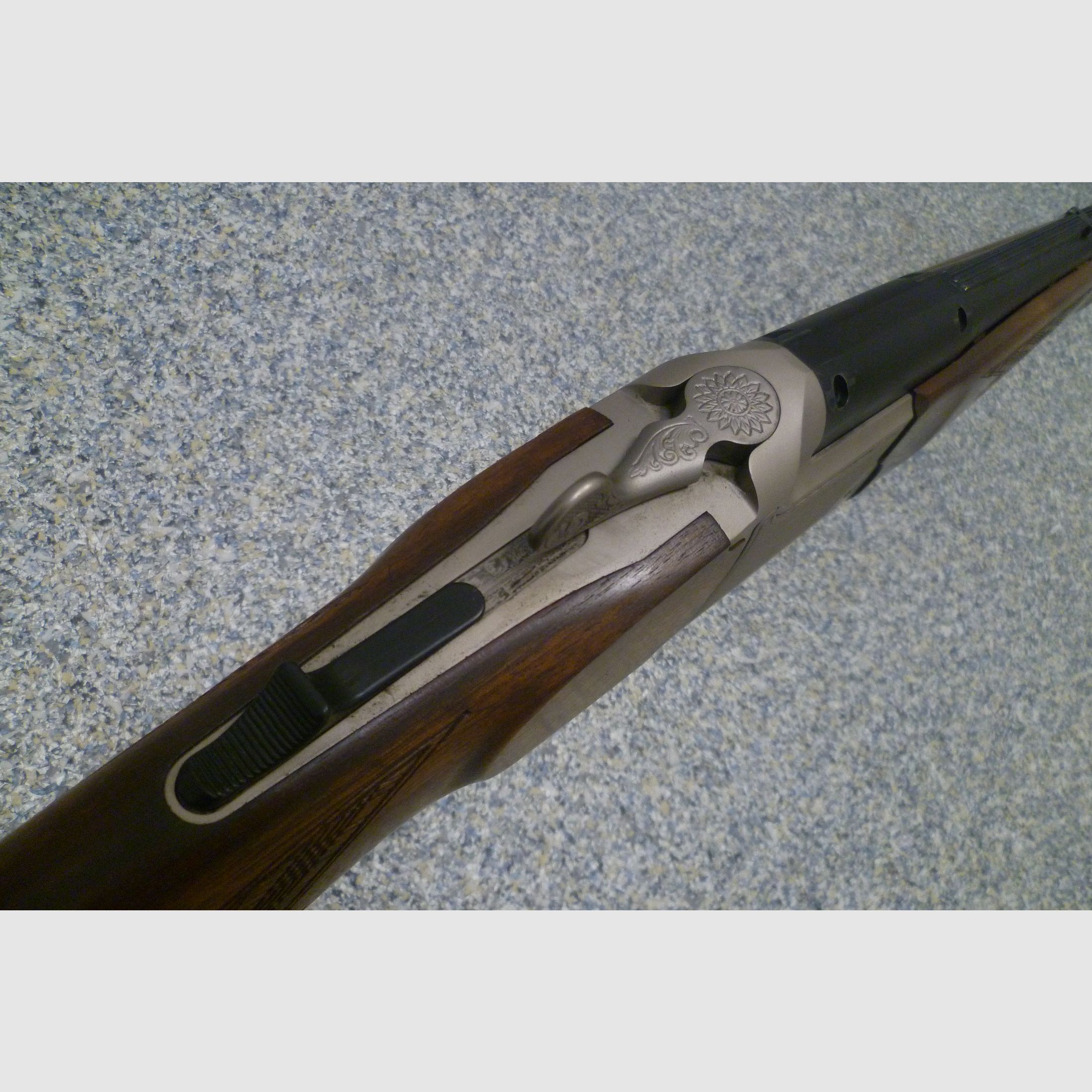 Blaser BBF 95 12/70 & .30-06 Spring.