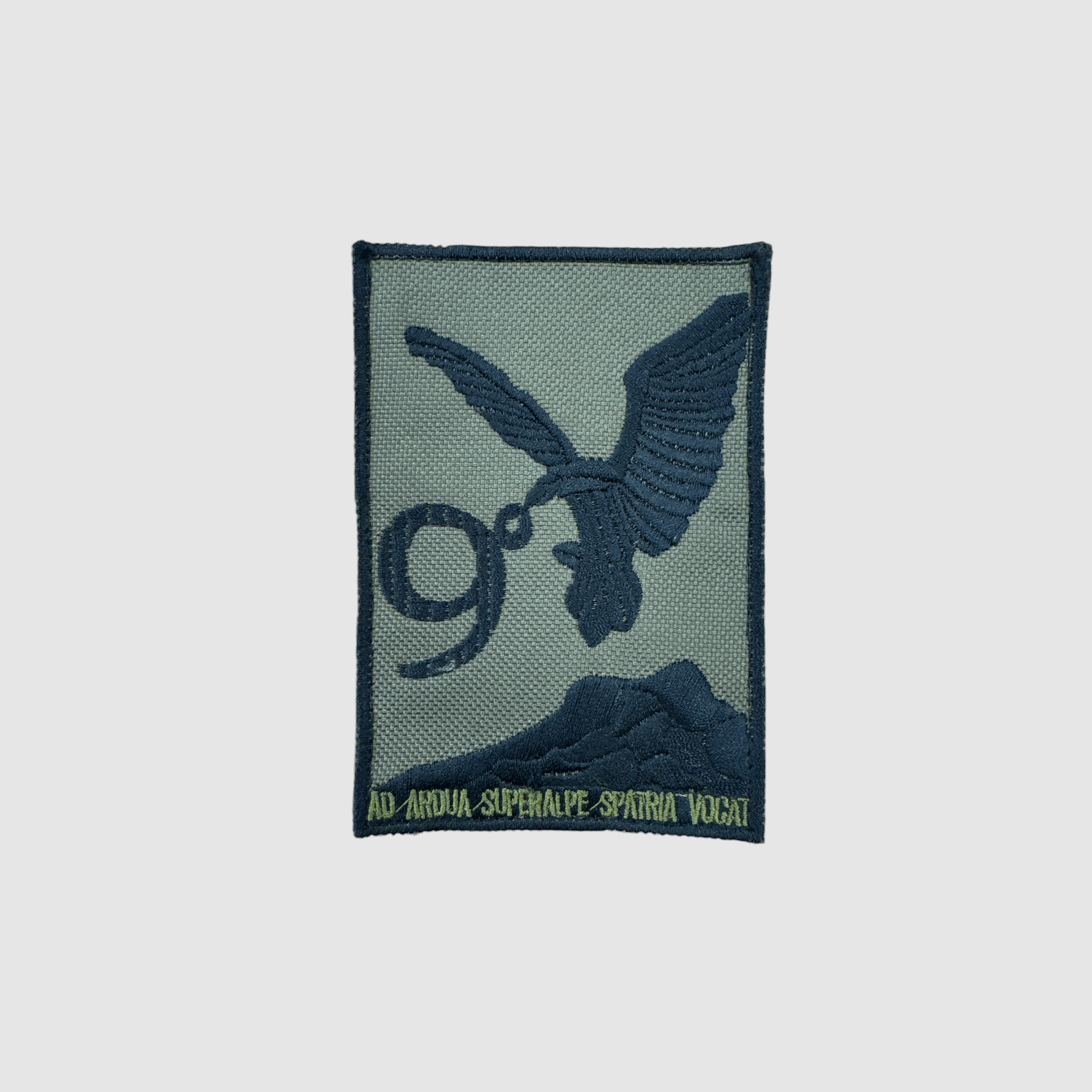 ESERCITO – PATCH 9. REGIMENT ALPEJSKIEGO „AD ARDUA SUPERALPE SPATRIA VOCAT“