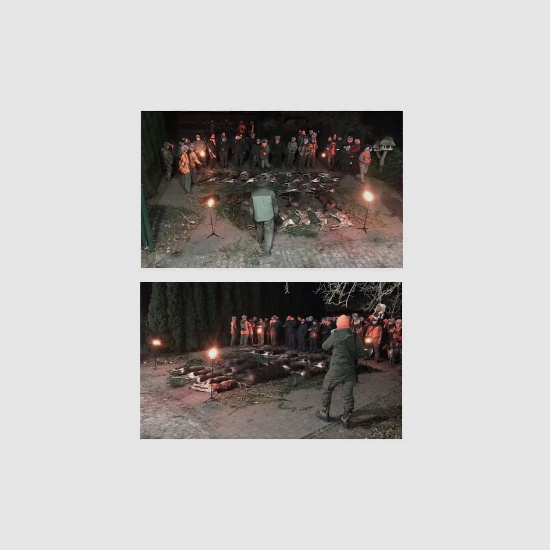 Jagdfackel für die Strecke, 60 Minuten Brenndauer, Einsatz, Bild 2 von 2