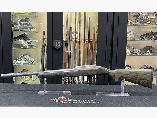 Ruger 10/22