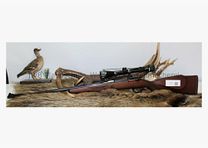 Santa Barbara in very good condition - women's weapon - 7x57