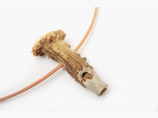 HornRose pipe