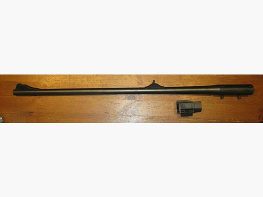 Blaser	 R93
