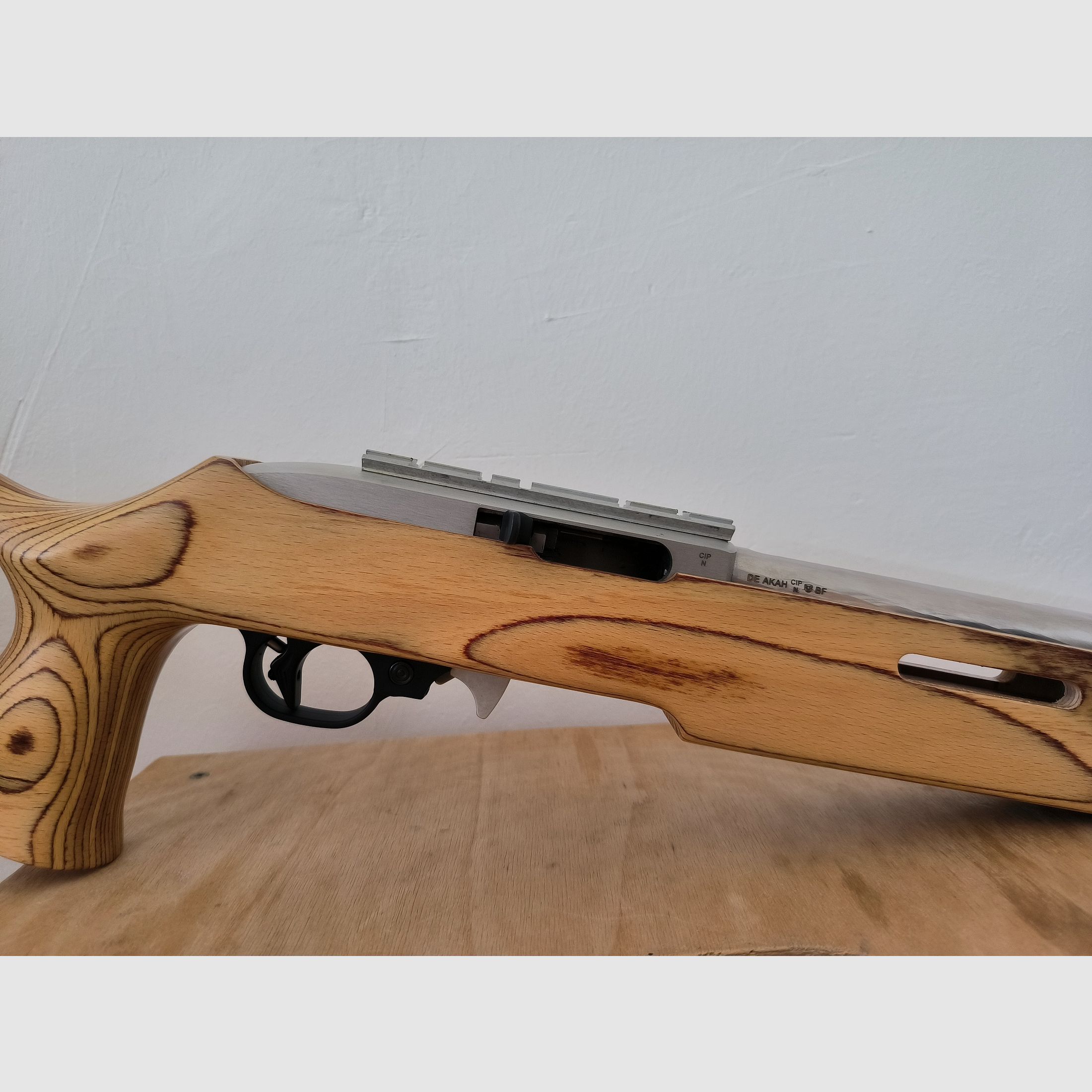 Ruger 10/22