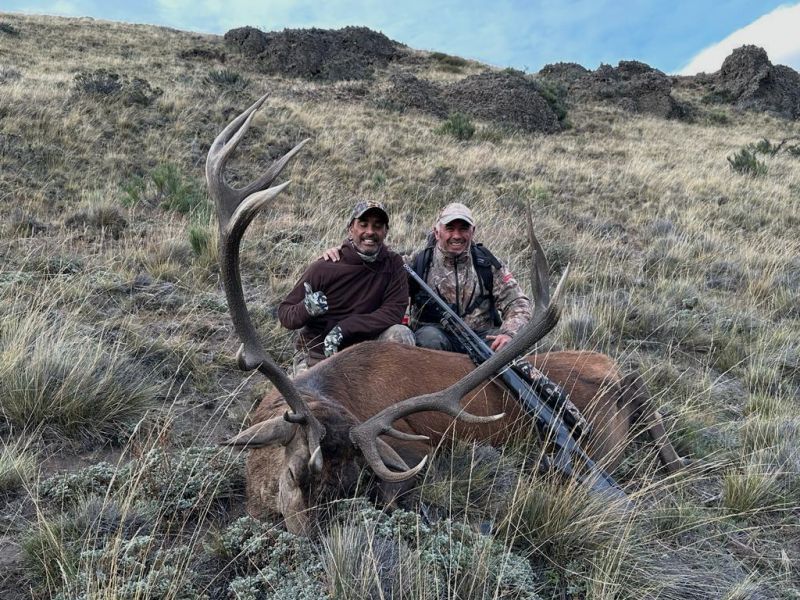 Auf starke Rothirsche in Patagonien! Eine fantastische Jagd!