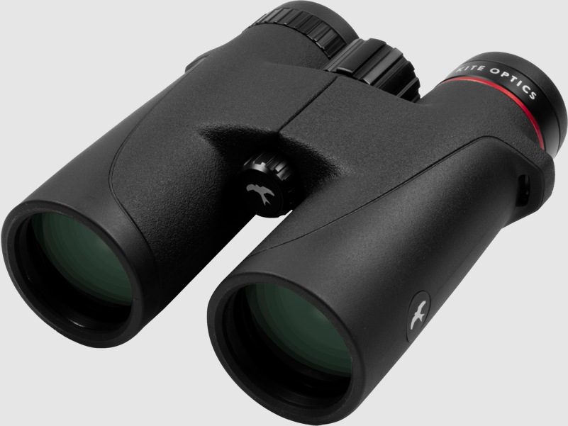Kite Optics FALCO 10×42, immagine 3 di 3