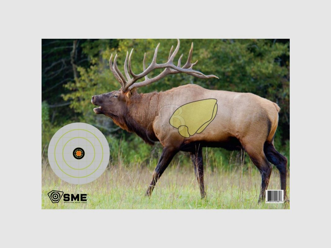 SME BERSAGLIO BULLSEYE 8" (CONF.3PZ)