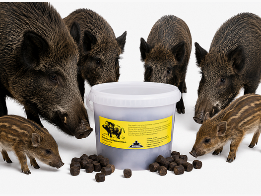 Wild boar pralines 3 kg bucket