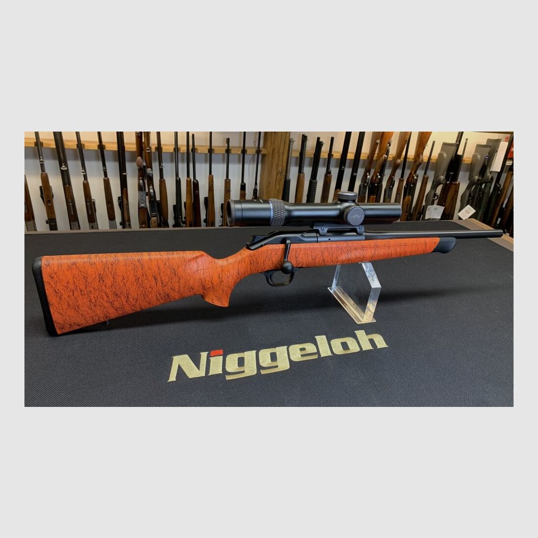 Blaser Professionale Caccia al Cinghiale
