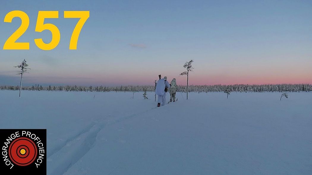 Longrange blog 257: Capercailles stalked on skis