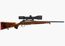 Sauer S101 Artemis Elegance Komplettangebot inkl. Optik