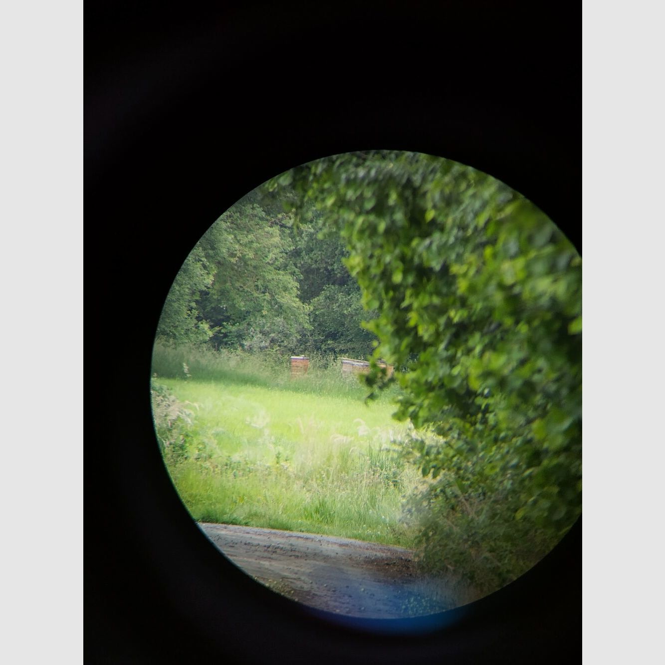 Miyauchi Mod. BJ100i