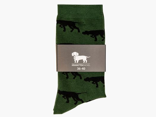 Chaussettes Dachshund avec chien d'arrêt