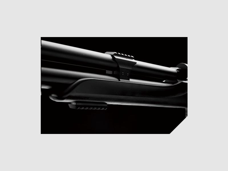 Snowpeak M25 PCP carabina ad aria compressa, immagine 4 di 7