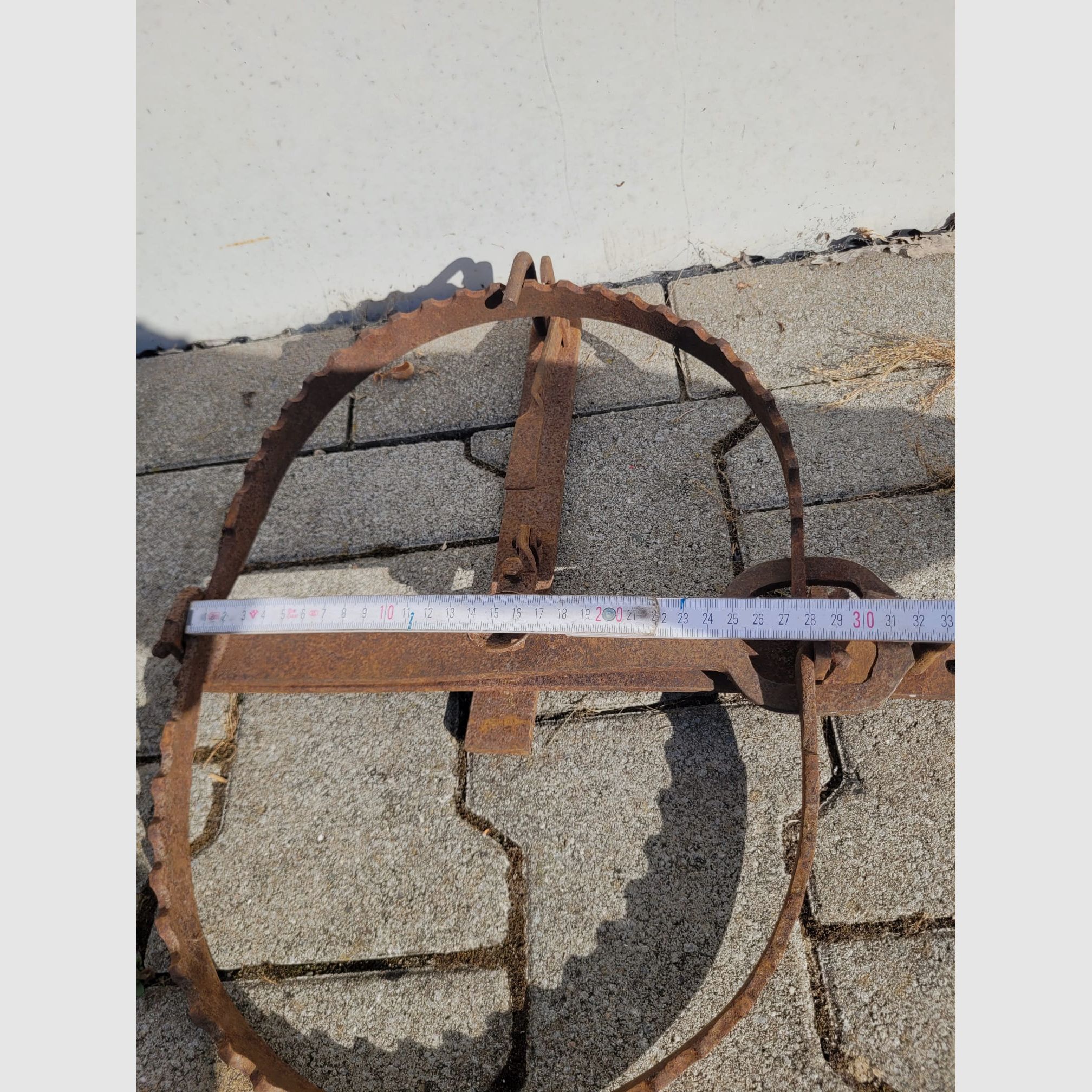 Bear trap decoration 48cm