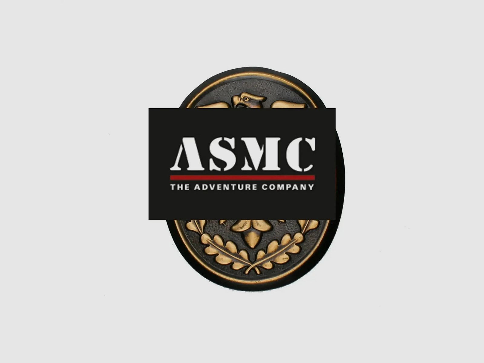 Insignia de cordón de tiro Fritzsch