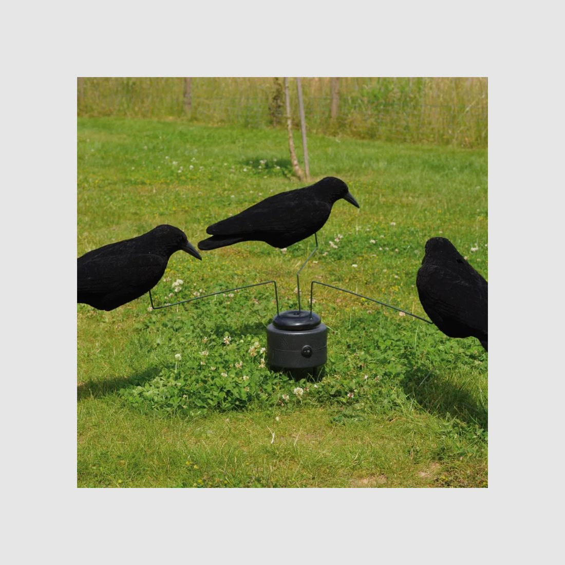 Manège für Krähen + 3 geflockte Krähen, Bild 1 von 6