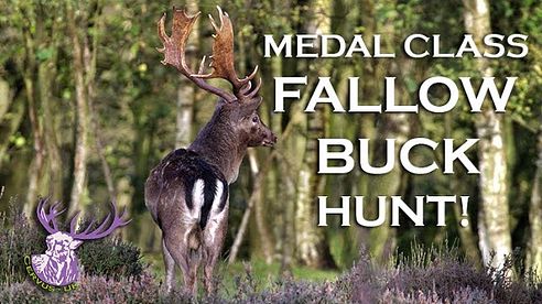 MONSTER MEDAL CLASS FALLOW BUCK HUNT!