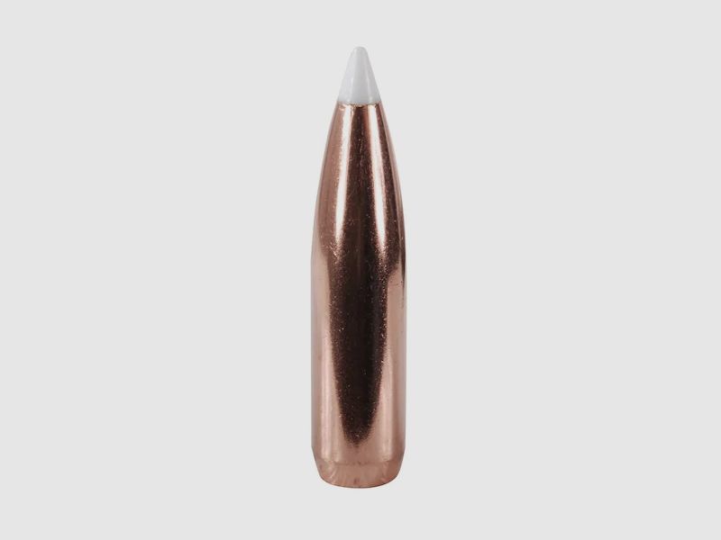 Nosler Geschoss Accubond .25/.257 110GR Spitzer 50 Stück