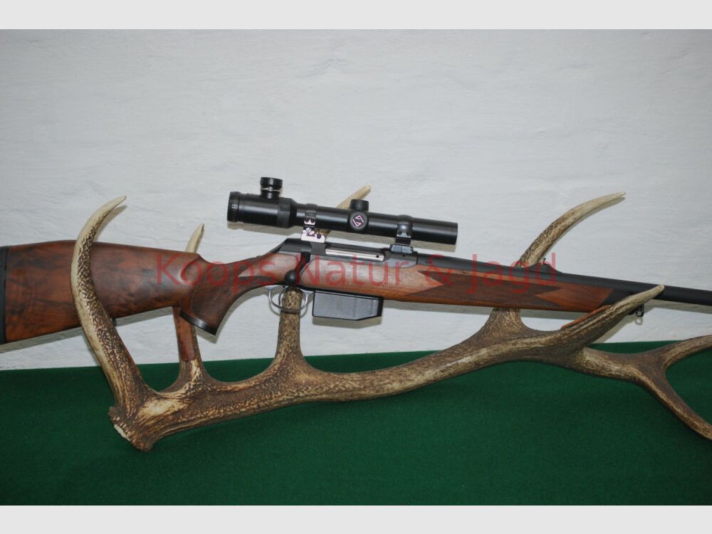 Sauer 202 Forest