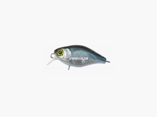 LEURRE CHUBBY 38
