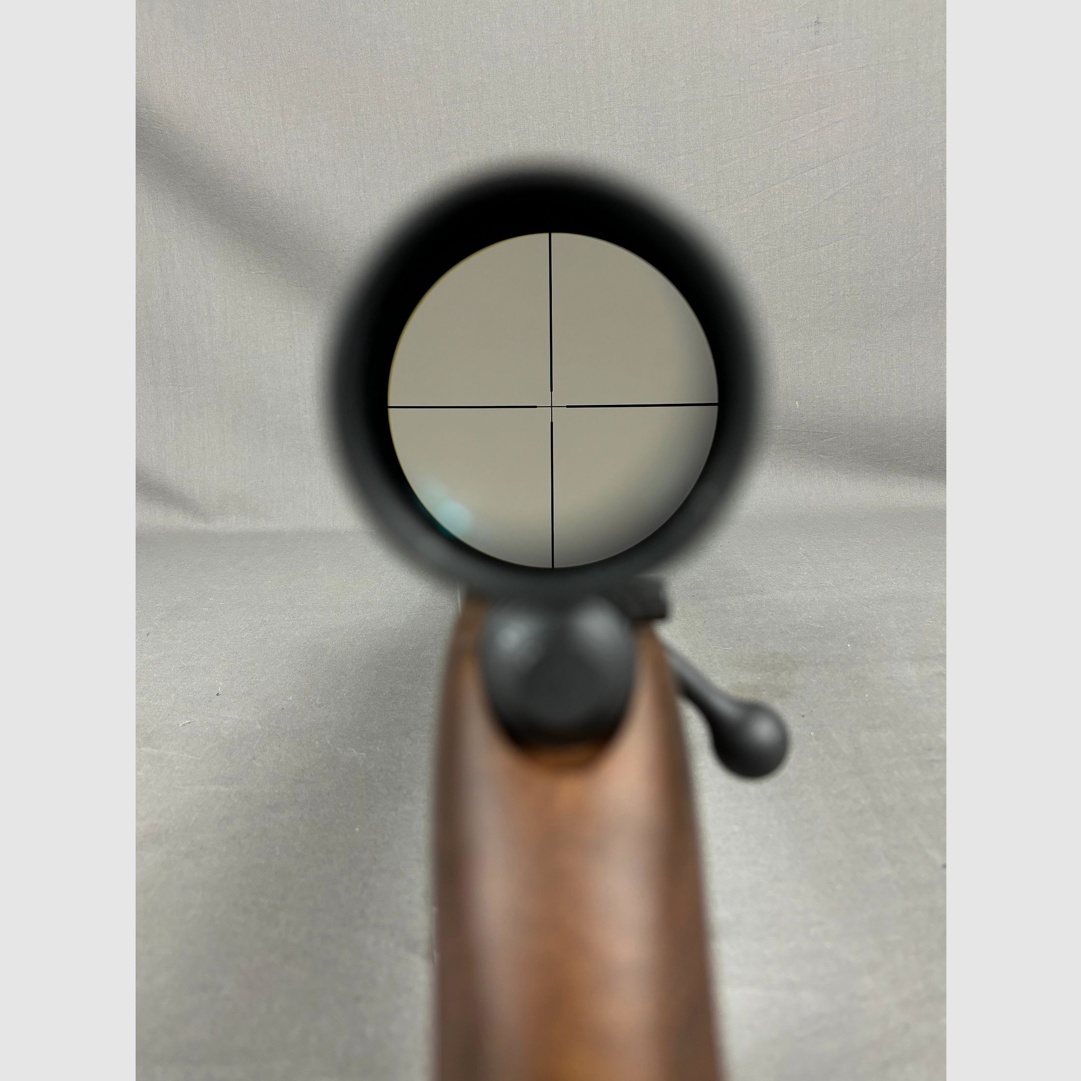 Savage 93R17 GVXP-SR in 17 HMR  mit  ZF 3-9x40