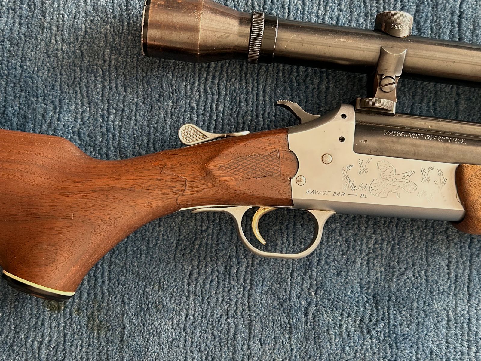 Savage Model 24B - DL, immagine 3 di 7