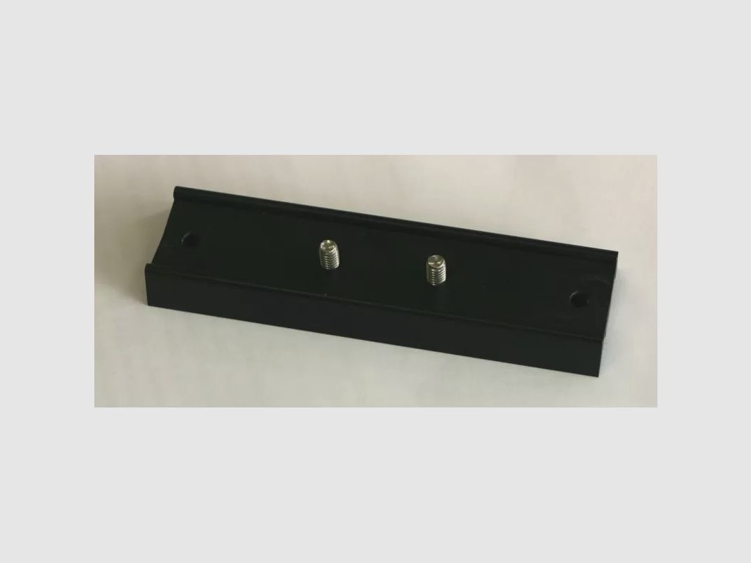 LUNT LS100PS 150mm Prism Rail (GP-Level), image 1 of 3