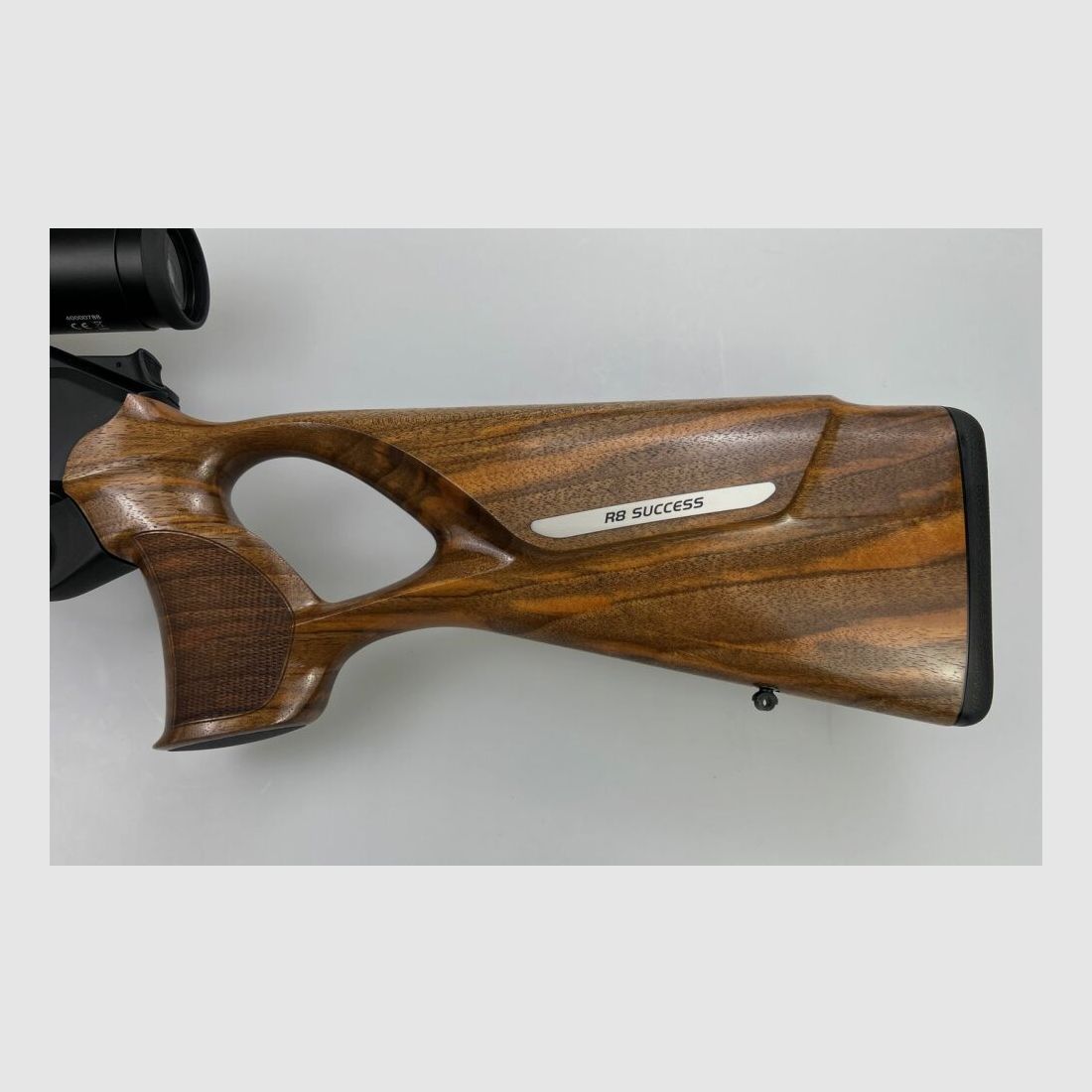 Blaser R8 Success