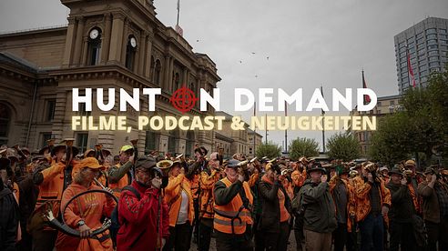 Filme, Podcast & Neuigkeiten!
