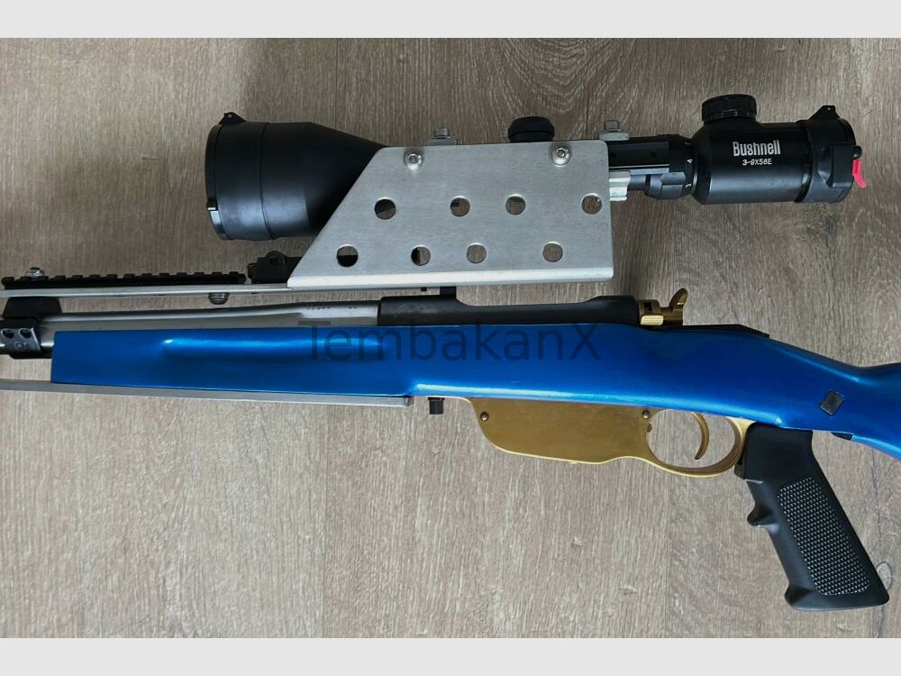 Steyr Arms Modified .308Win