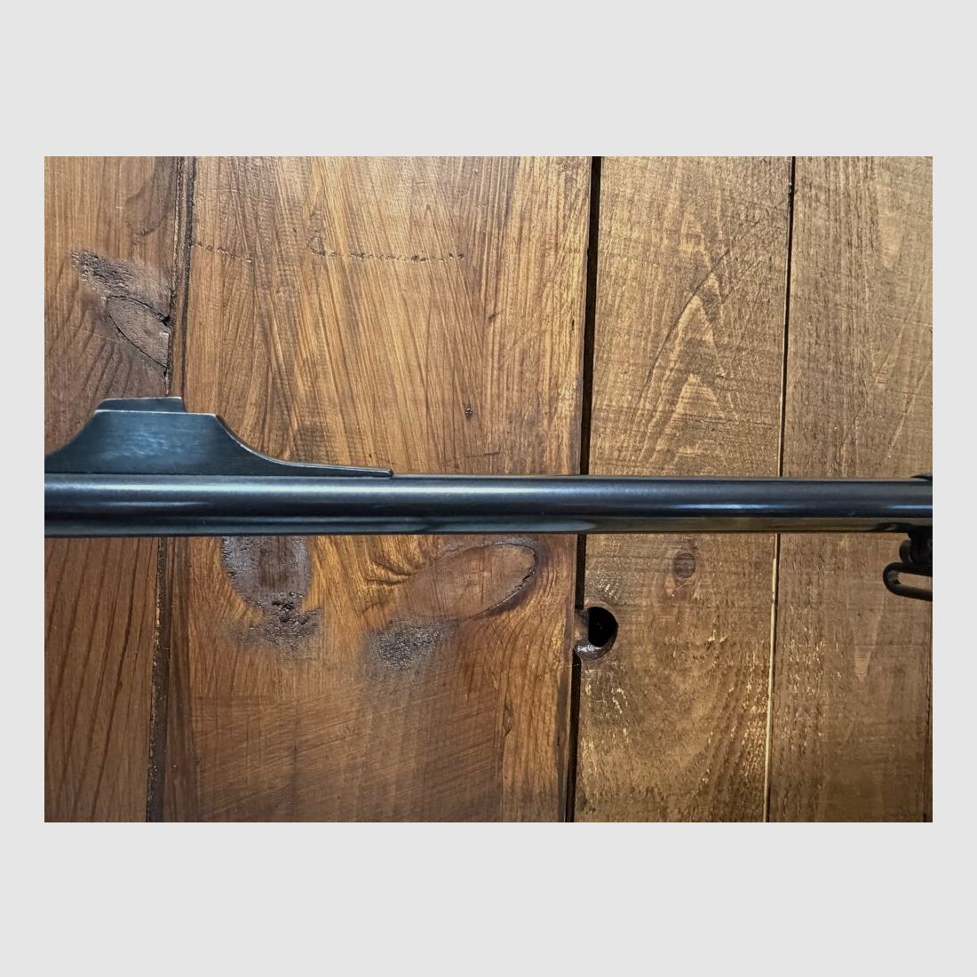 Blaser SR 850