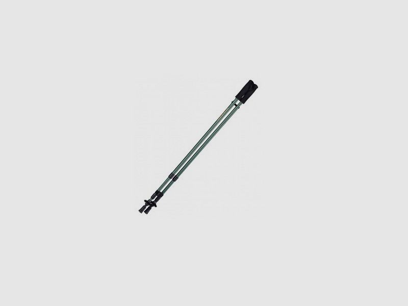 Zielstock X3M1
