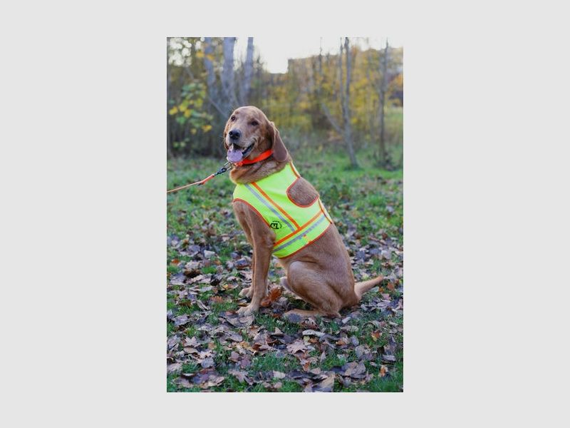 Farm-Land Hunde Reflektorweste verschiedene Größen