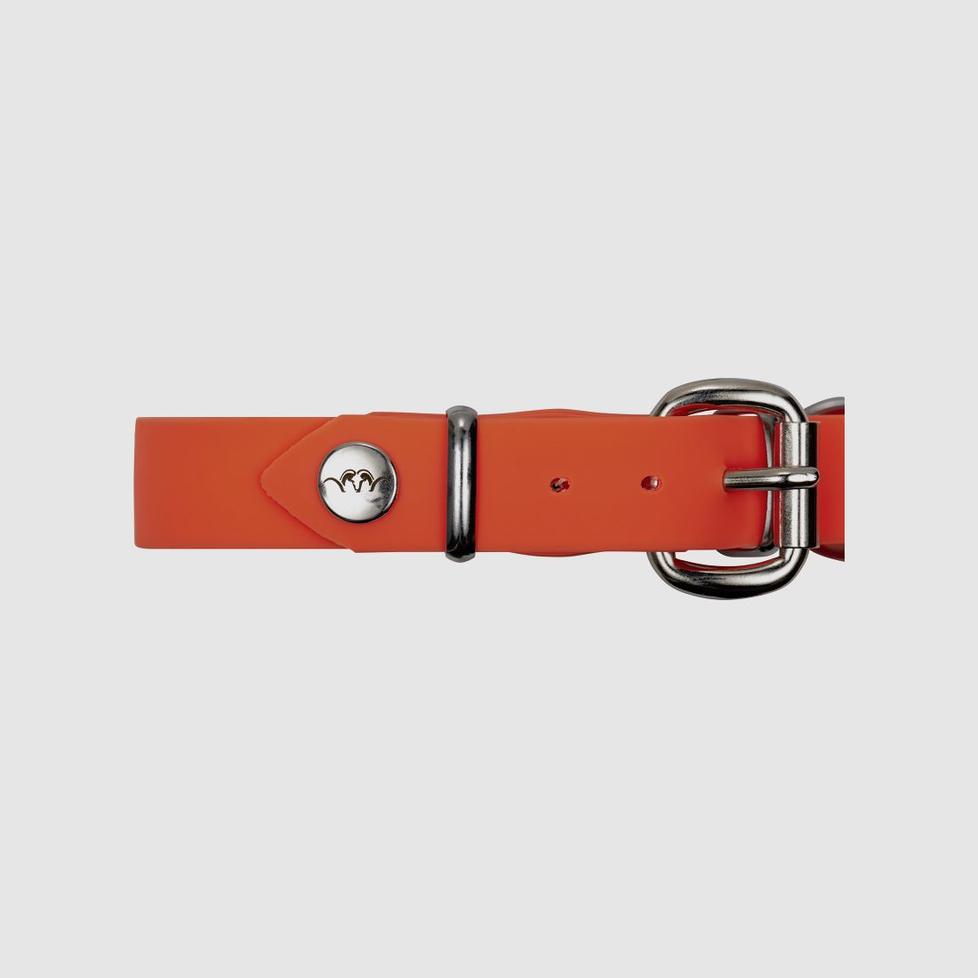 Collar para perro Blaser Professional, imagen 4 de 5