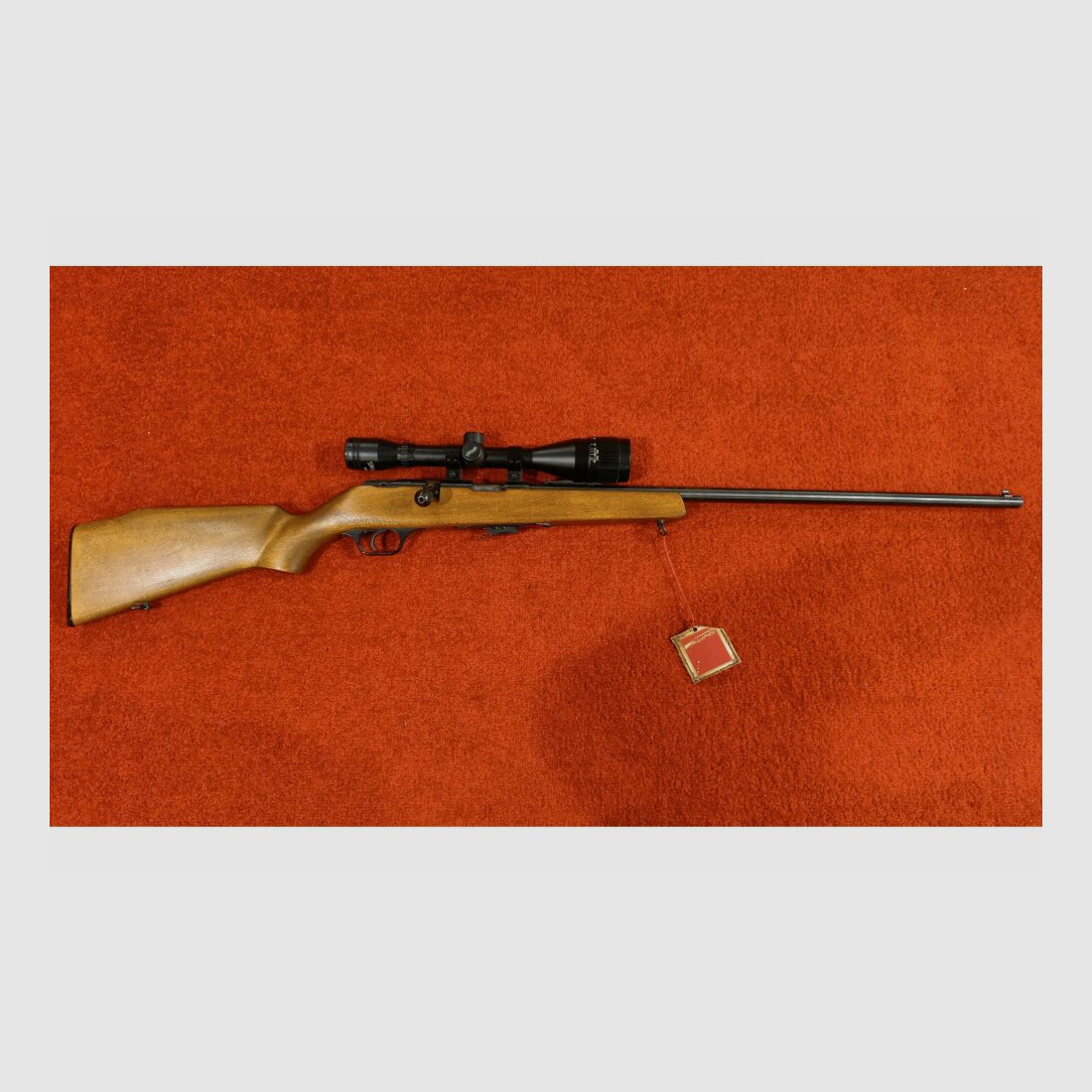 Savage Mod.845 .22lr