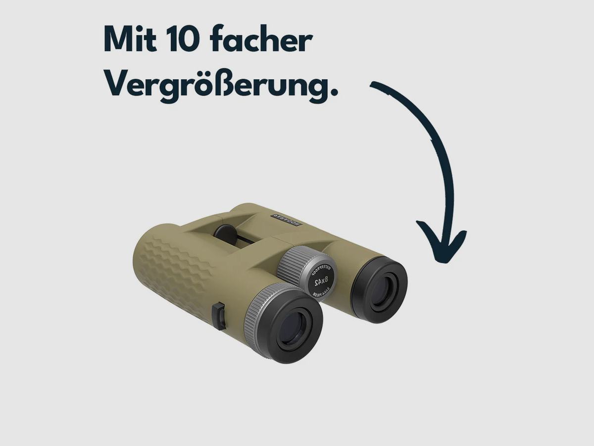 Vector Optics SCBO-13 Paragon 10x42 HD, imagen 2 de 5