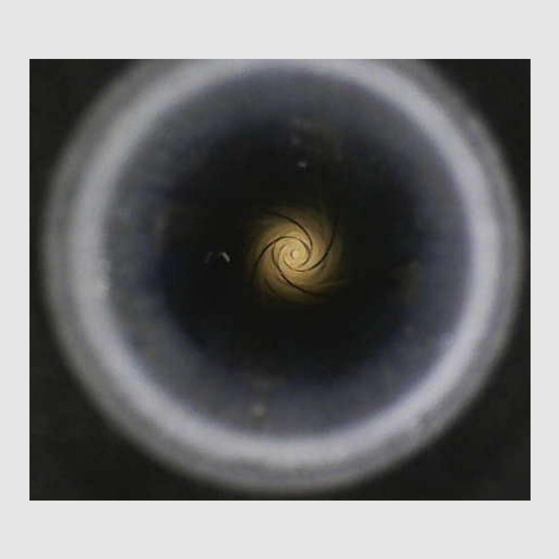 Haenel Cacciatore 10 Pro