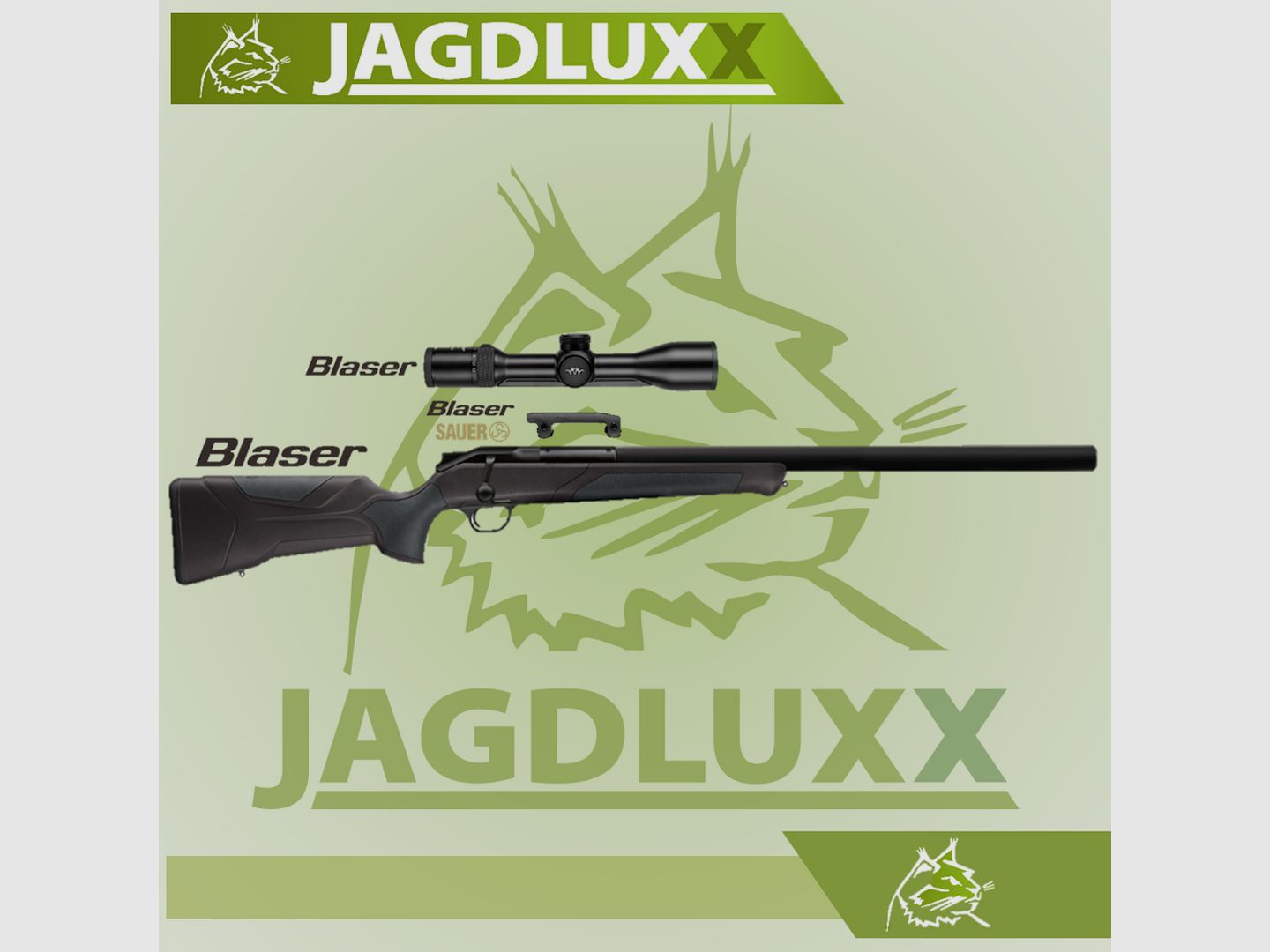Blaser R8 Professional 2.0 Silence black-brown in a set with Blaser B2 2-12x50 iC S
