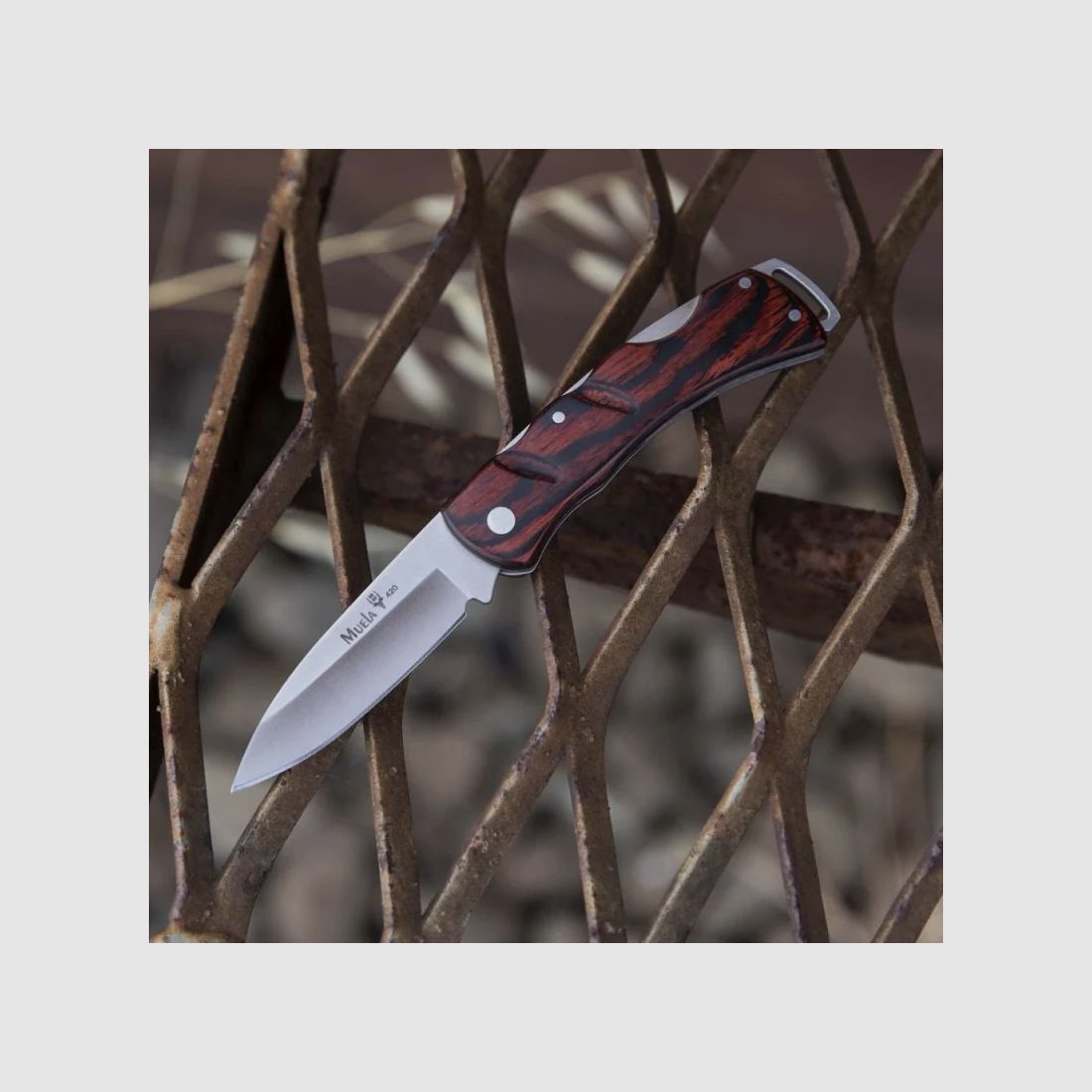 COUTEAU MUELA M.K.-7R, image 3 sur 4