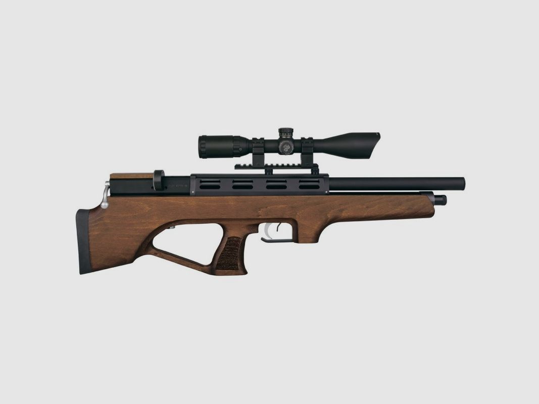 ORION BULLPUP, Bild 2 von 2