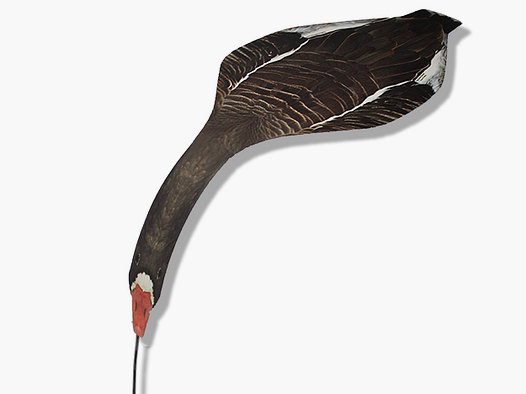 Top down decoys grauwe / sneeuwgans
