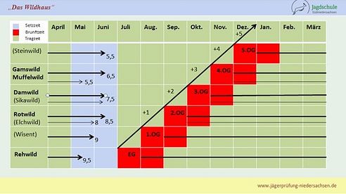 Jägerprüfung Niedersachsen Das Wildhaus
