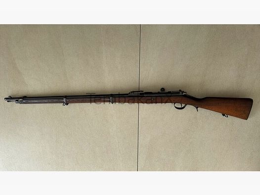 OE.W.F.G. Steyr M1886 8mmRothSteyr