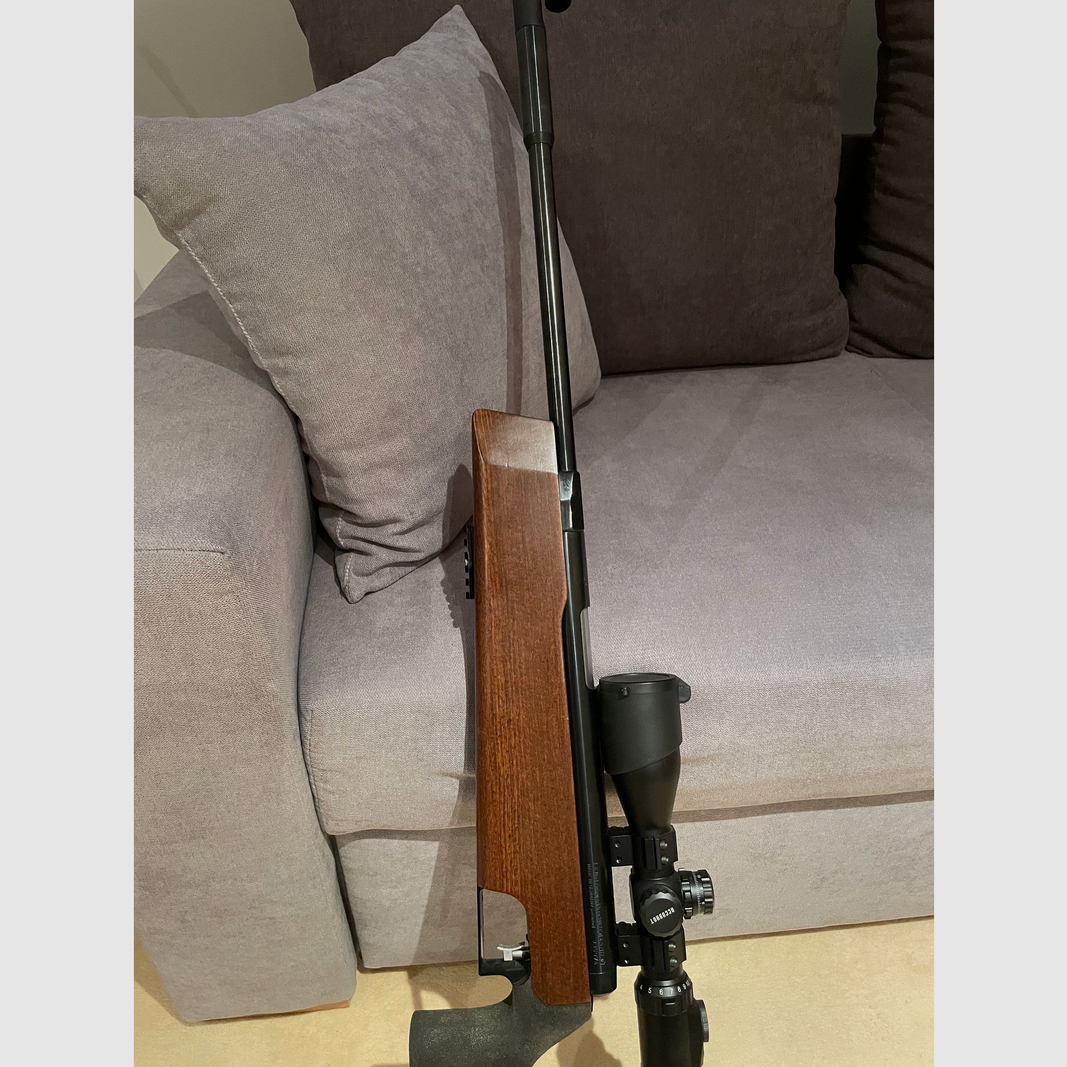 Fachwerkbau 300 S  4,5 mm Diabolo 