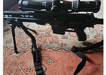 Haenel CR 308 AR 10