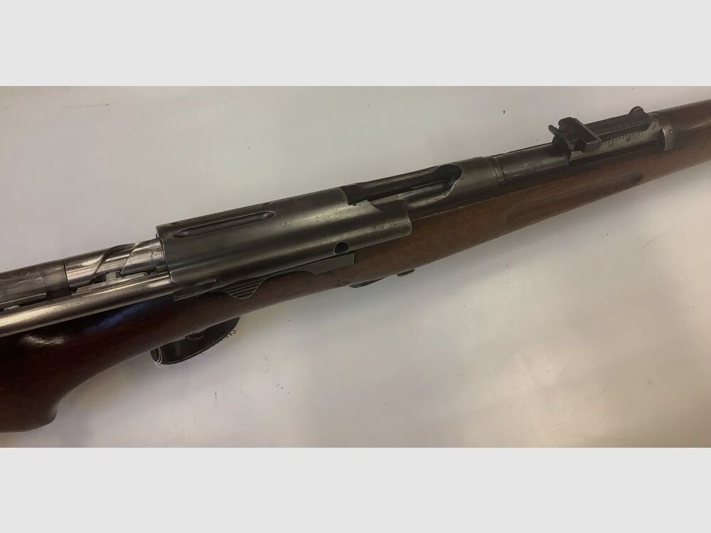 Schmidt - Rubin G11