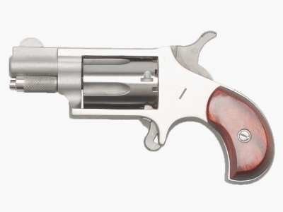 NAA Mini Stainless 1.125″ .22lr.