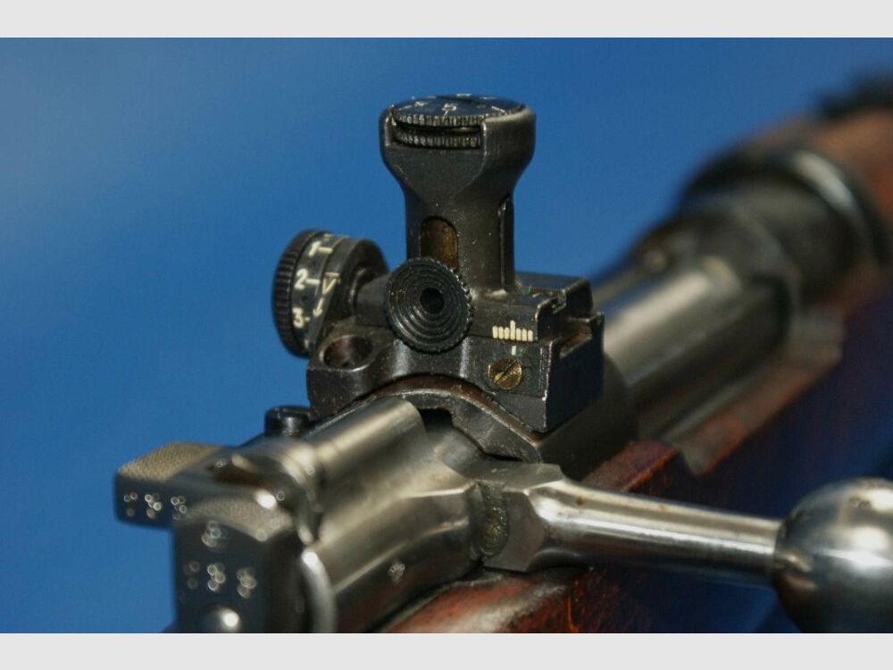 Carl Gustafs M96 mit Diopter 6,5x55SE