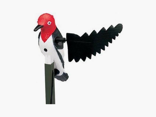 Mojo Woodpecker pájaro carpintero para depredadores